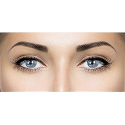 EyeMed Technologies Adore (2 линзы)