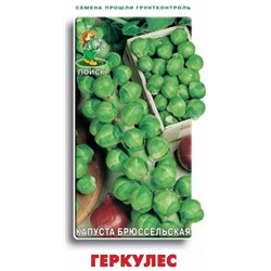 Капуста брюссельская Геркулес (поздний,серо-зеленый,холодостойкий) 0,5г Поиск