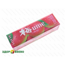 Жевательная резинка «LOTTE» UME GUM вкус японской сливы, упаковка 9 пластин Артикул: 3807