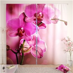 Фотошторы Розовая орхидея 2