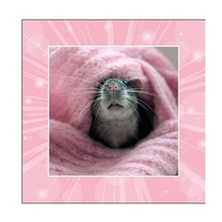Антистрессовая подушка Мышата, розовый плед 19асп10ив-3