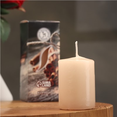 Свеча ароматическая "Корица", 4×6 см, в коробке