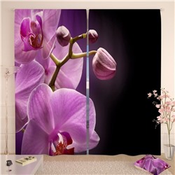 Фотошторы Орхидея в сумраке