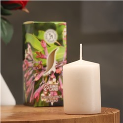 Свеча ароматическая "Сандаловое дерево", 4×6 см, в коробке