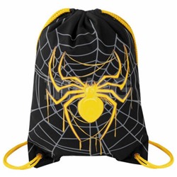 Мешок для обуви Brauberg Venomous Spider с карманом светоотражайка (43 х 33 см)