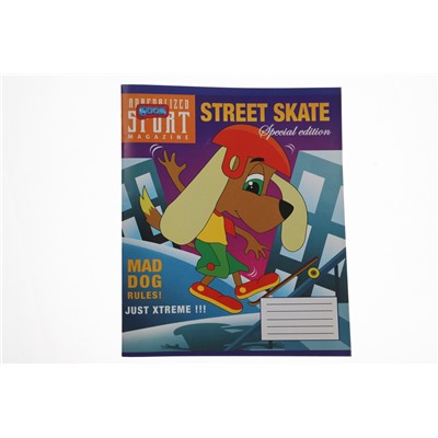 Тетрадь 24л линия Street skate