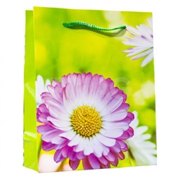 Пакет подарочный Санвест Яркие цветы (12 х 15 х 5,5 см)