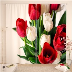 Фотошторы Красно-белый букет тюльпанов